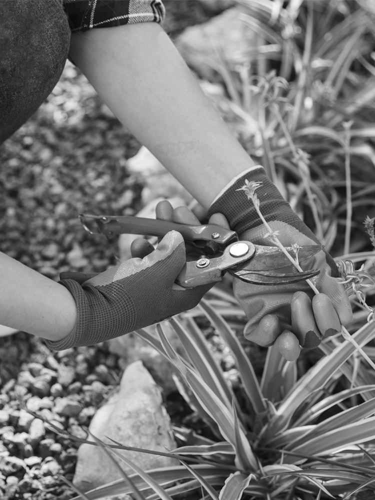 Yard Work